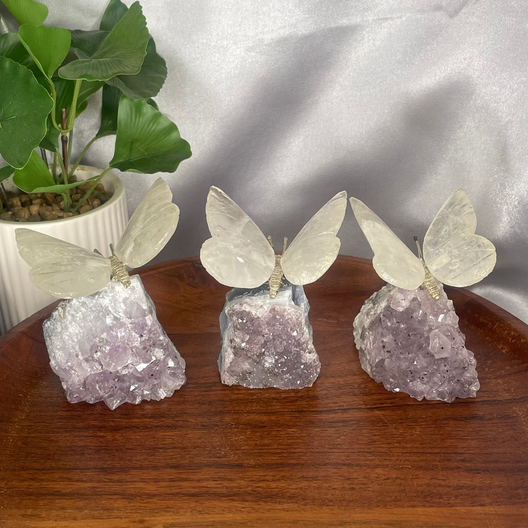 Clear Quartz Butterflies on Amethyst Clusters