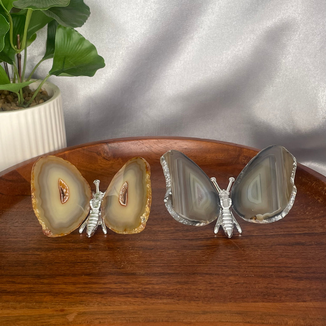 Agate Butterflies