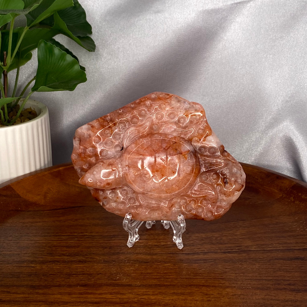 Fire Quartz Turtle