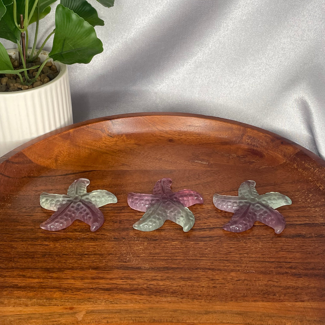 Fluorite Starfish