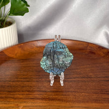 Load image into Gallery viewer, Labradorite Carvings
