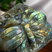 Load image into Gallery viewer, Labradorite Butterfly
