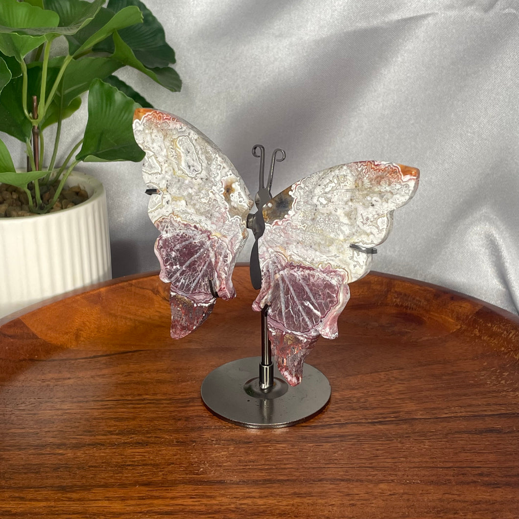 Mexican Lace Agate Wings