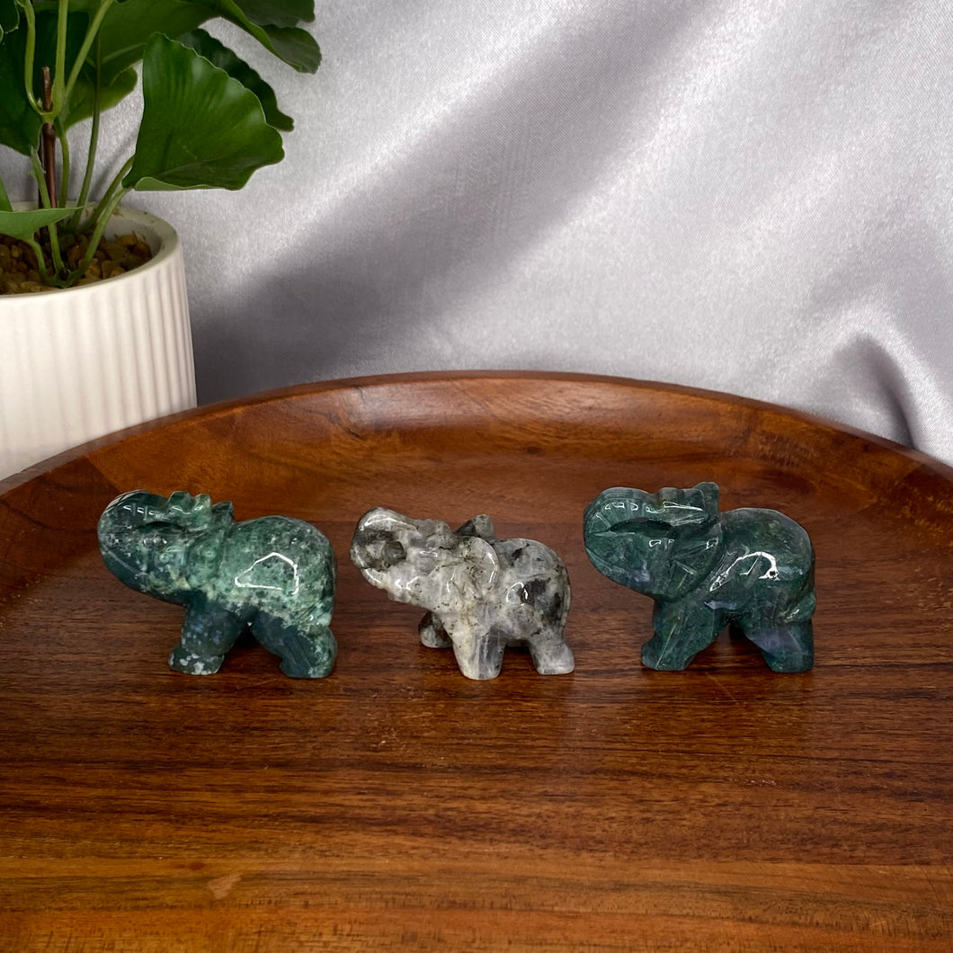 Mini Elephants