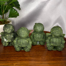 Load image into Gallery viewer, Serpentine Ninja Turtle Set
