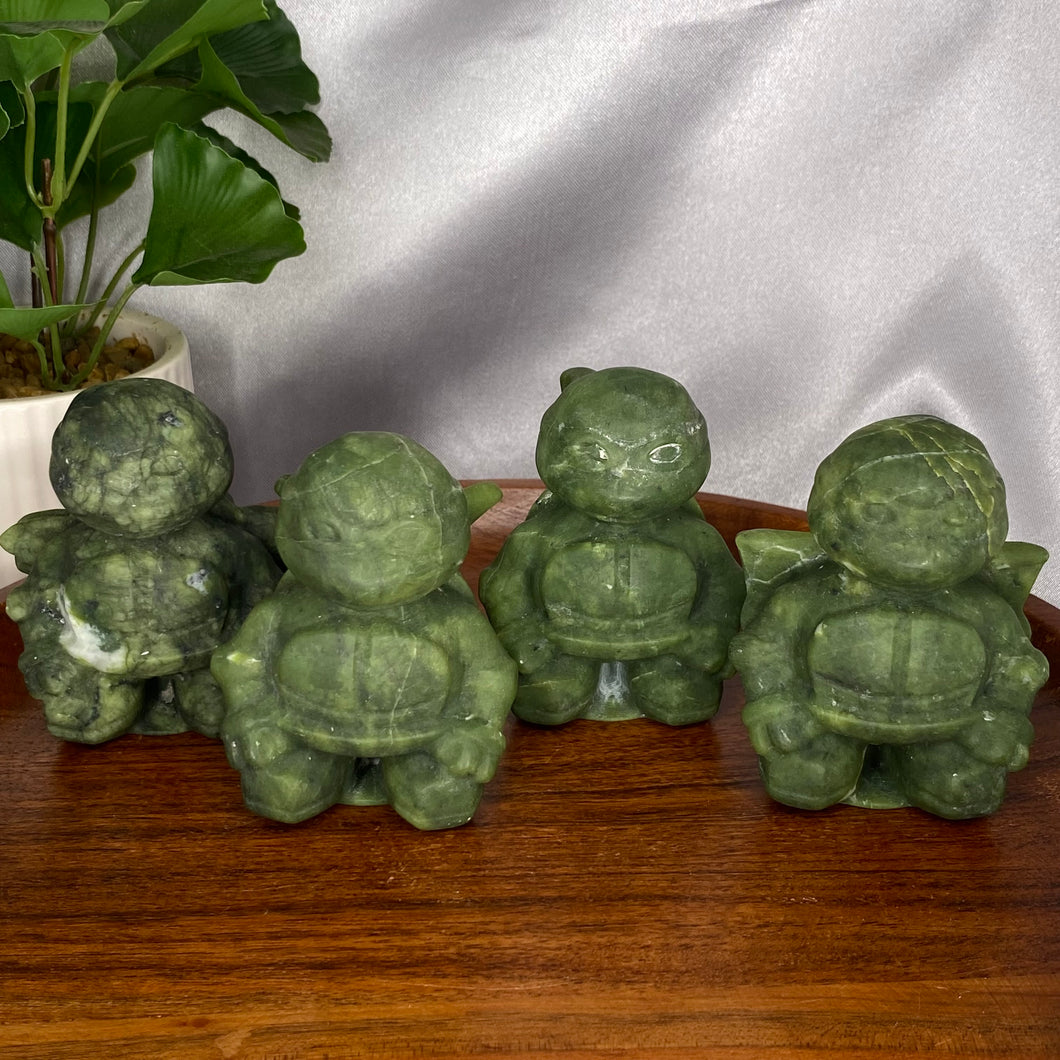 Serpentine Ninja Turtle Set