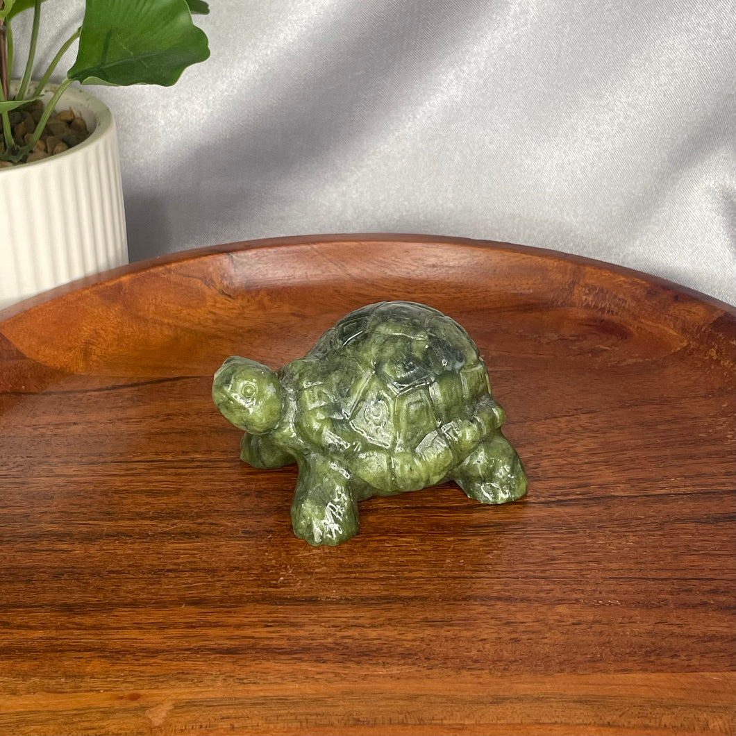 Serpentine Tortoise