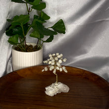 Load image into Gallery viewer, Mini Trees on Clear Quartz Cluster
