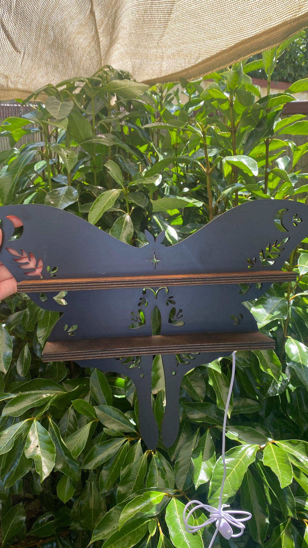 Luna Moth Wooden LED Display Shelf